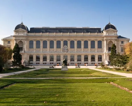 Invaluable Gold Samples Stolen in Audacious Heist at French National Museum